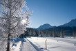 Wintertraum 6
