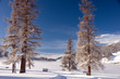Wintertraum 4