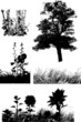 Trees, grass, plants