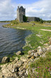 DUNGUAIRE CASTLE