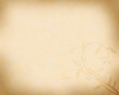 Hintergrund mit floralem Element im Grunge-Stil