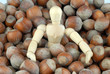 nocciole