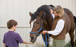 Photo: Boy Feeding Horse Boy Feeding Horse