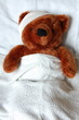 sick teddy with injury in bed sick teddy with injury in bed