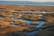 baie de seine