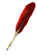 Feather