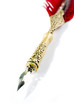 Writing feather