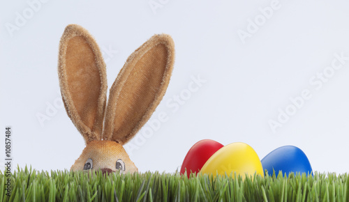 ei ei osterhase rot gelb blau