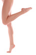 Woman legs Woman legs