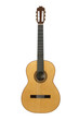 Acoustic Guitar