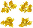 Holly berries