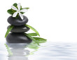 White flower and spa stones in water on white White flower and spa stones in water on white