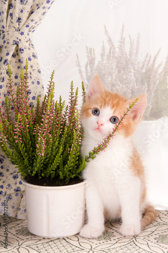 Photo: Plant lover Plant lover