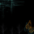 papillon