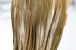 Young woman with hair mask, view from the back, close up (studio)
