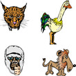 Gepard, monkey, lion and a bird in vector illustration