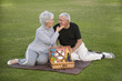 Senior Couple Picnic