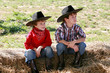 Cowboys