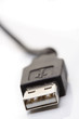 USB cable on white background