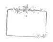 metal stars frame