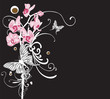 Orchids