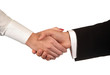 Handshake Woman & Man