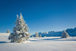 neige belledonne