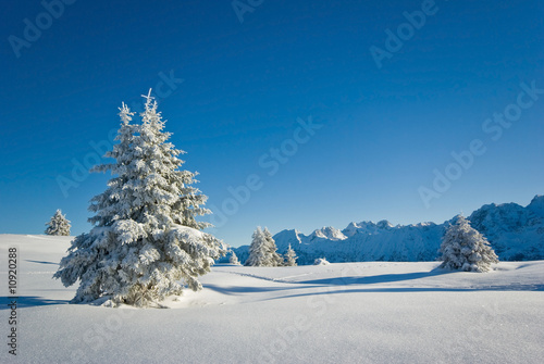 neige belledonne
