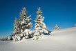 neige belledonne neige belledonne