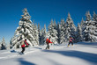 neige belledonne