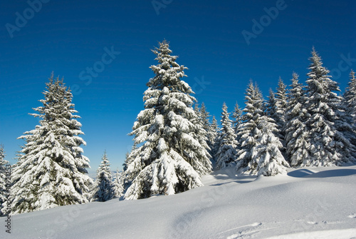 neige belledonne