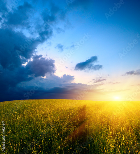 Photo: field of grass and sunset field of grass and sunset
