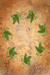 Bay Leaf Garland