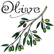 olive