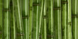 wide hard bamboo background wide hard bamboo background
