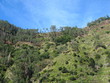 Levada Nova à Madère