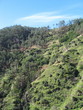 Levada Nova à Madère