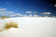 White Sands Landscape