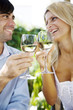Foto: wine in the garden wine in the garden