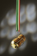Spumanti italiani