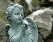 Cherub