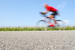 Racing bicycle, motion blur (focus on the cornfield)