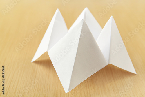 Paper Cootie Catcher
