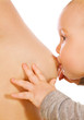Baby's feeding Baby's feeding