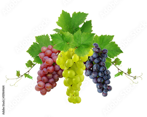 Three Fresh Grapes
