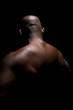 Sculptural Back