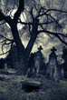gothic scene with opened tomb
