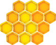 closeup vector honeycells