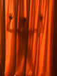 Silhouette of a girl Silhouette of a girl