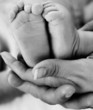 Baby feet held by mother's and father's hand